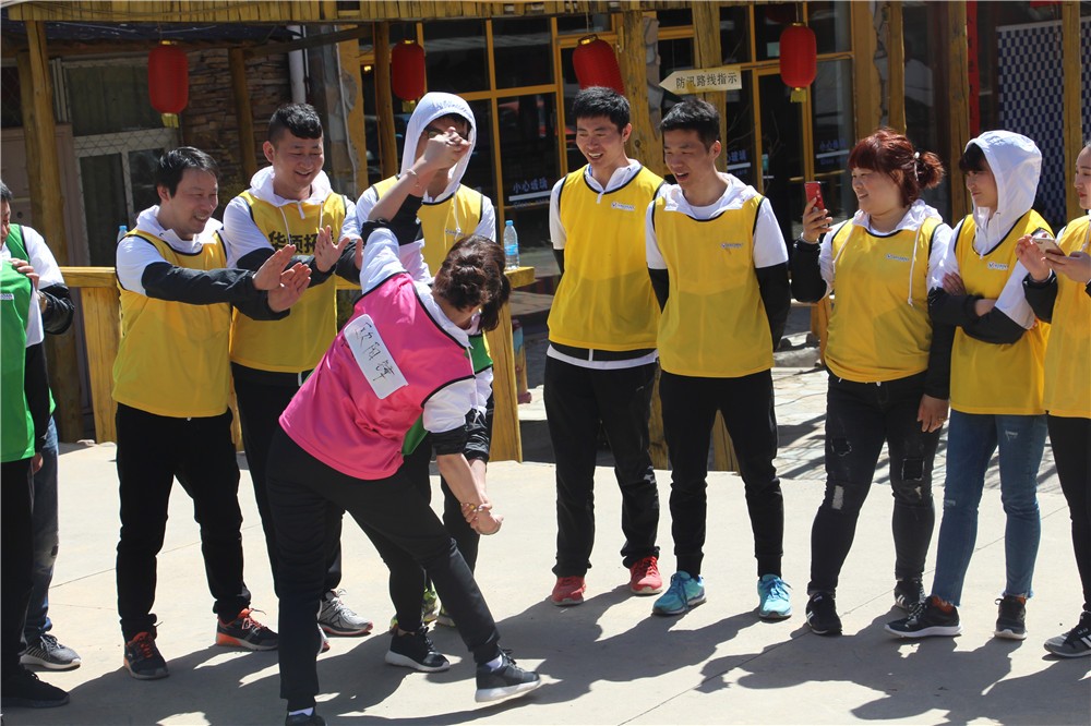 [壩上草原]+景區(qū)主題項目+場地素質拓展二日活動