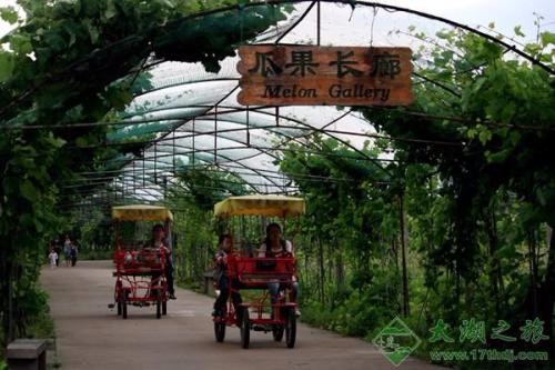 [蘇州太湖綠光農(nóng)場拓展基地]+ 致青春無悔！一日拓展活動(dòng)