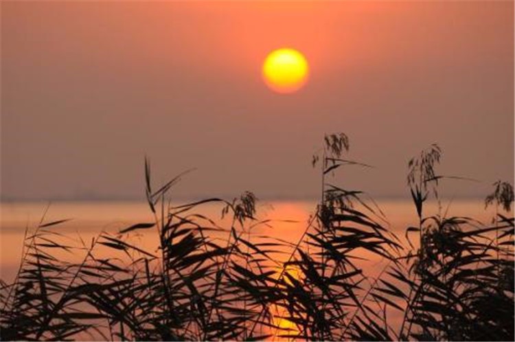 [蘇州太湖三山島野外拓展基地]+戶(hù)外徒步一日活動(dòng)