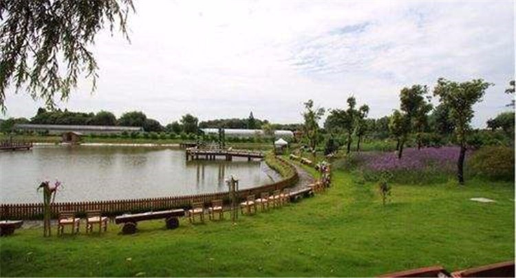 [上海太陽島拓展基地]-團(tuán)隊(duì)凝聚力一日?qǐng)F(tuán)建