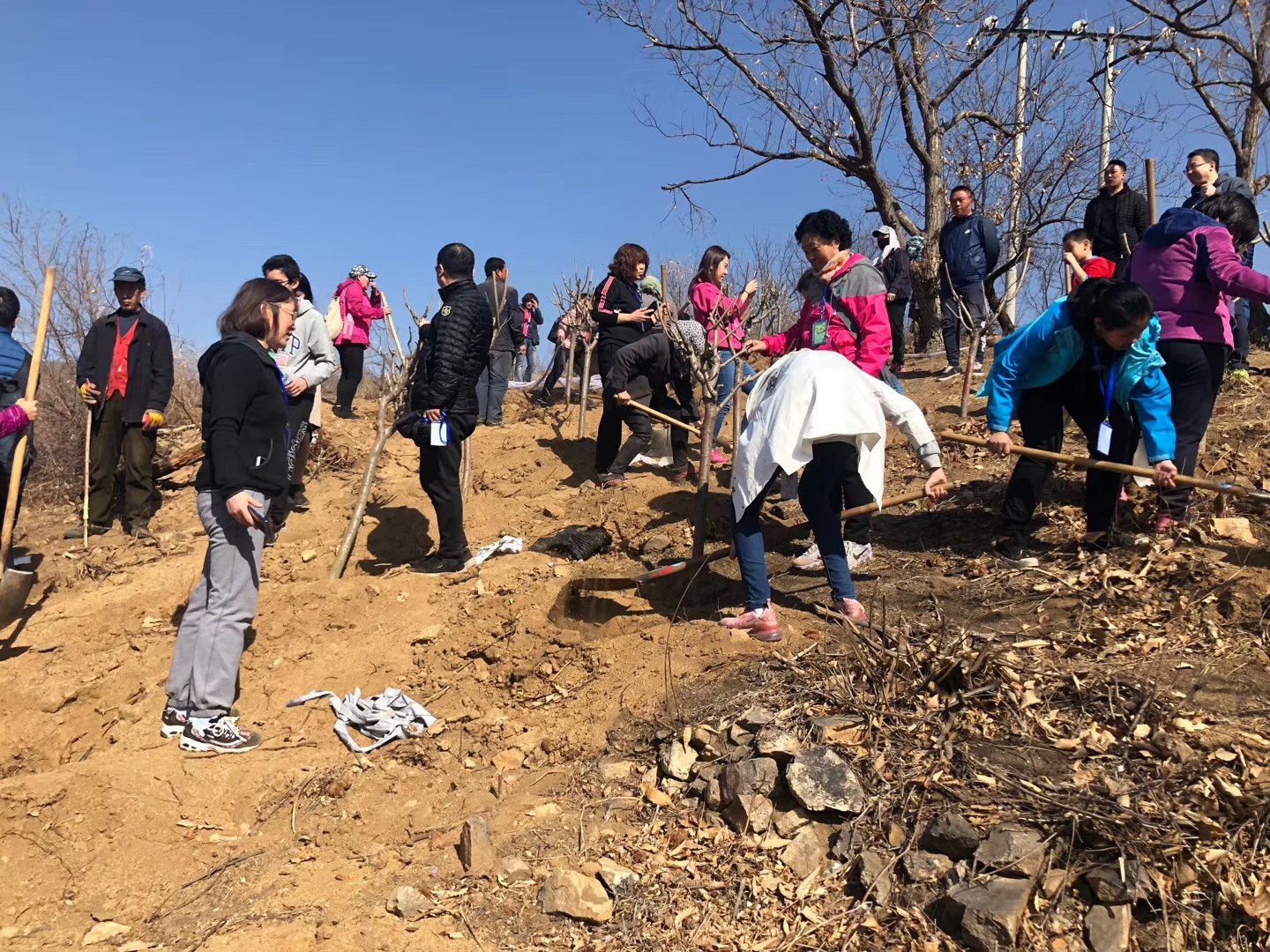 [春季植樹(shù)]+守護(hù)藍(lán)天懷柔一日春季植樹(shù)活動(dòng)